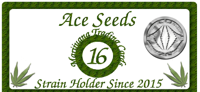Ace Seeds
