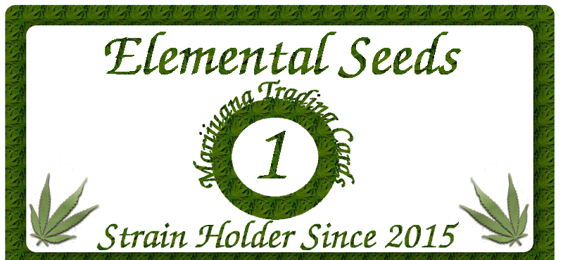 Elemental Seeds
