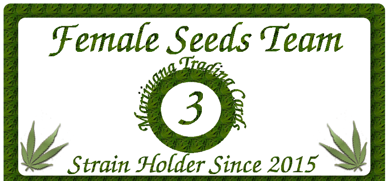 Female Seeds Team