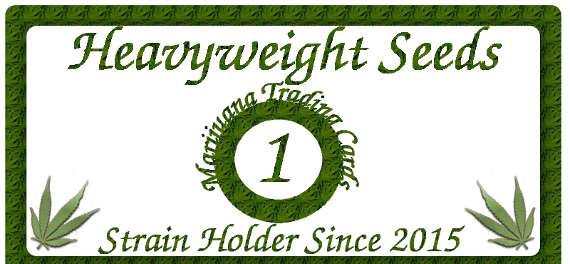 Heavyweight Seeds