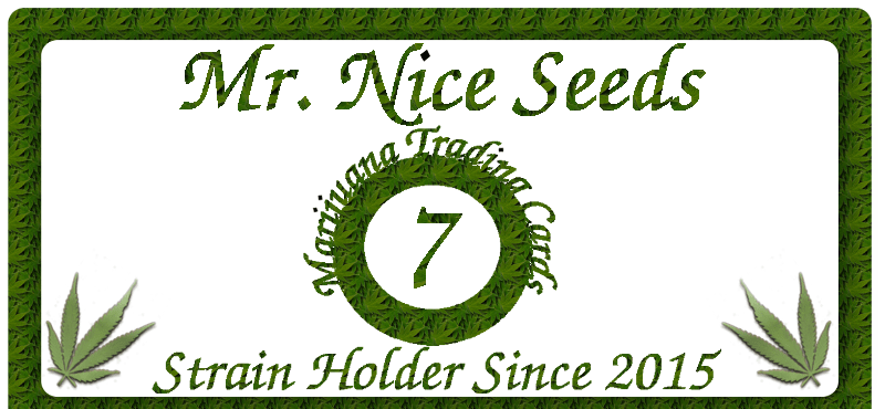 Mr. Nice Seeds