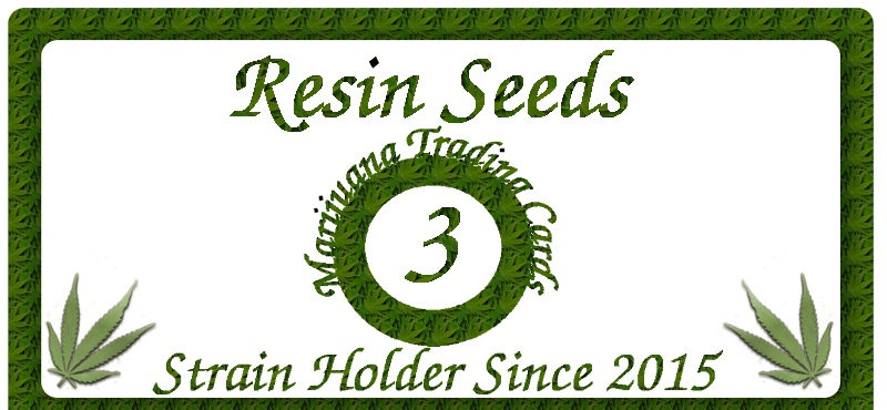Resin Seeds
