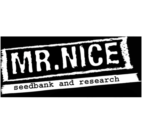 mr nice seeds